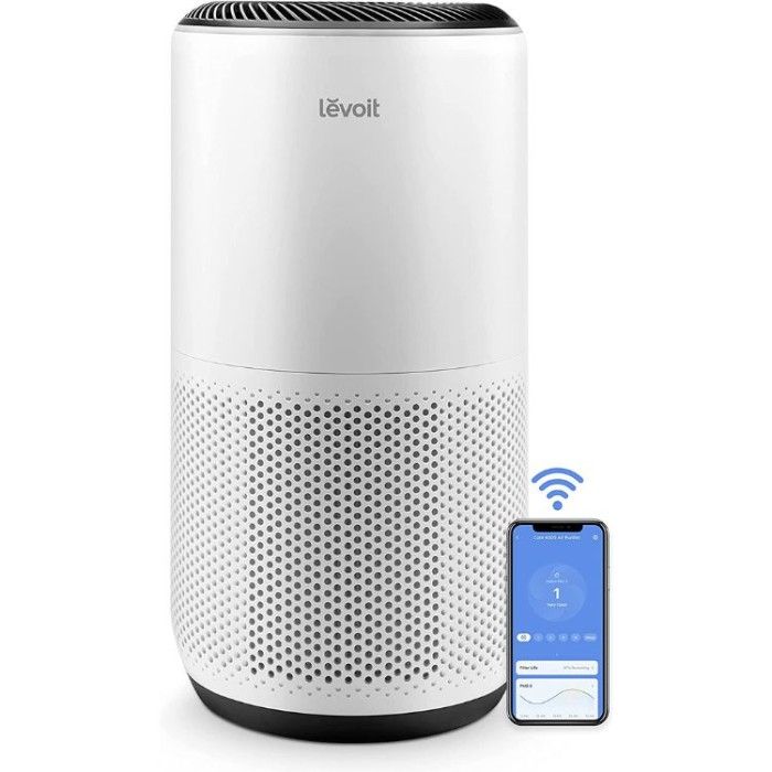 Best Basement Air Purifier to Keep Your Home Allergy-Free