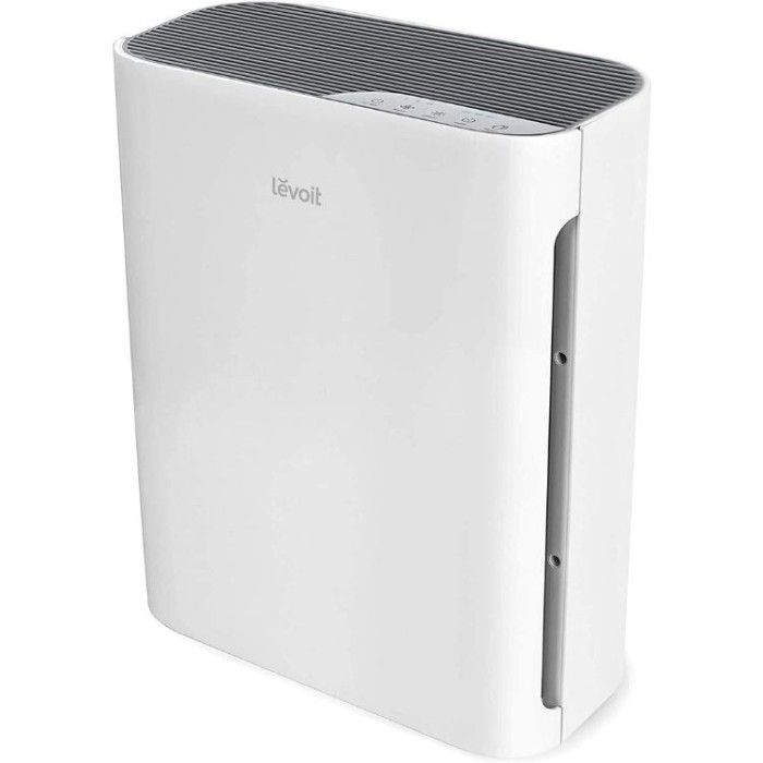 Best Basement Air Purifier to Keep Your Home Allergy-Free