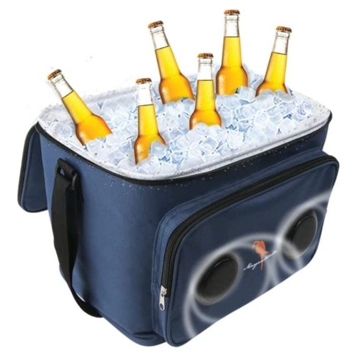 Beat the Heat with Style: Best Cooler with Speakers for Next Party