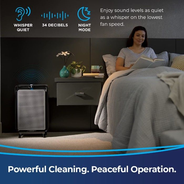 Best Basement Air Purifier to Keep Your Home Allergy-Free