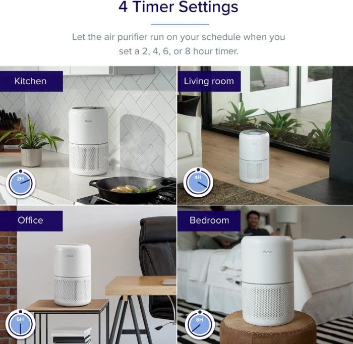 Best Basement Air Purifier to Keep Your Home Allergy-Free