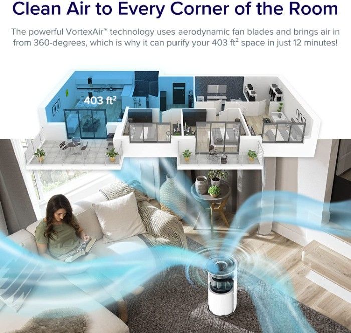 Best Basement Air Purifier to Keep Your Home Allergy-Free