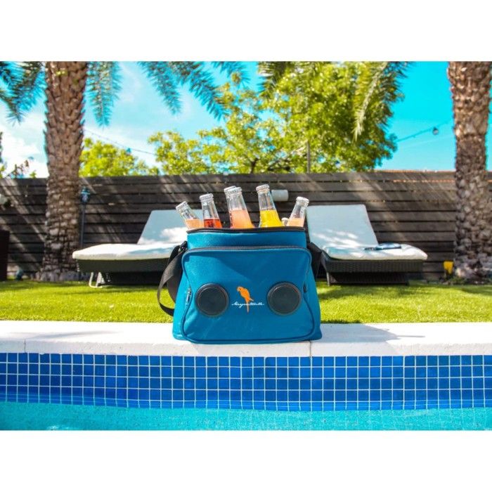 Beat the Heat with Style: Best Cooler with Speakers for Next Party